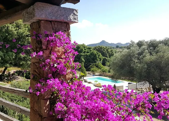 Agriturismo Desole