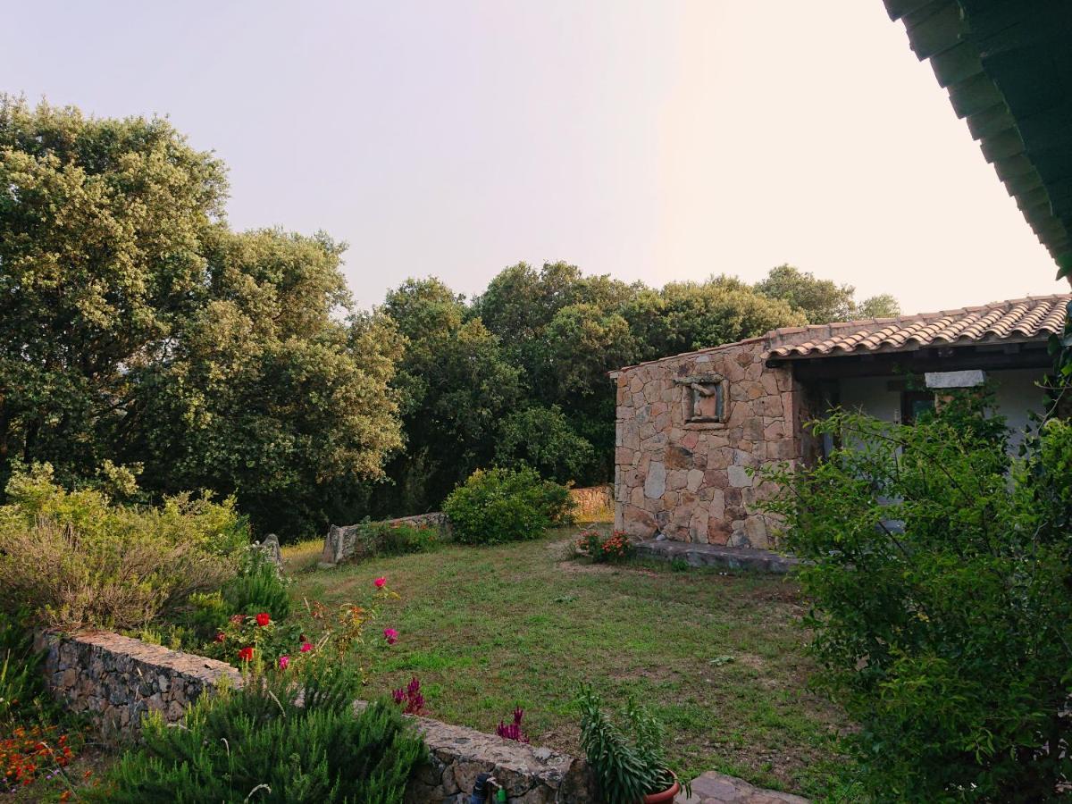 Alojamento de Turismo Rural Agriturismo Desole *